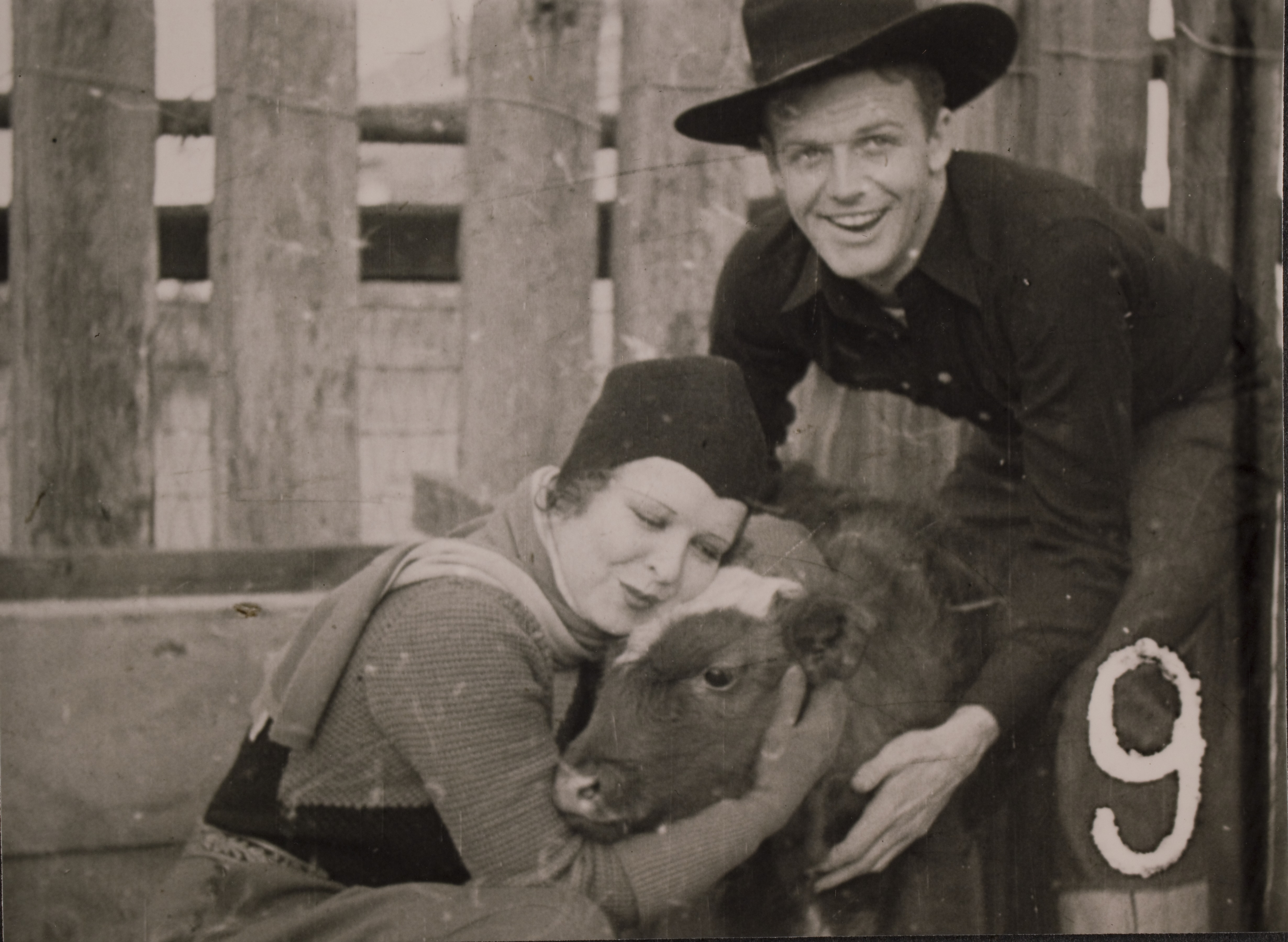 Clara Bow and Rex Bell (George Francis Beldam) at Walking Box Ranch, Nevada with a cow: photographic print