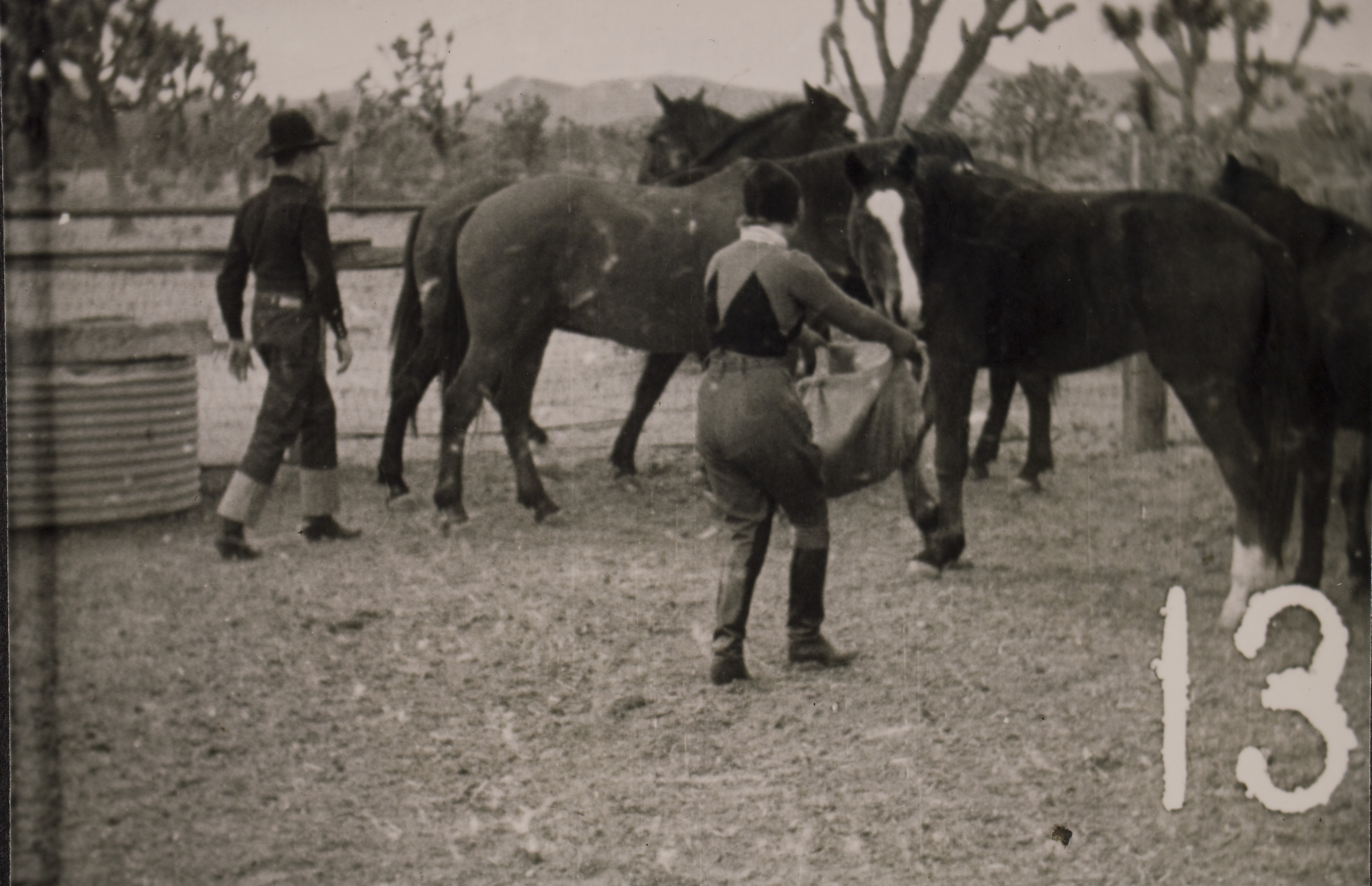 Rex Bell (George Francis Beldam), Clara Bow and horses at Walking Box Ranch, Nevada: photographic print