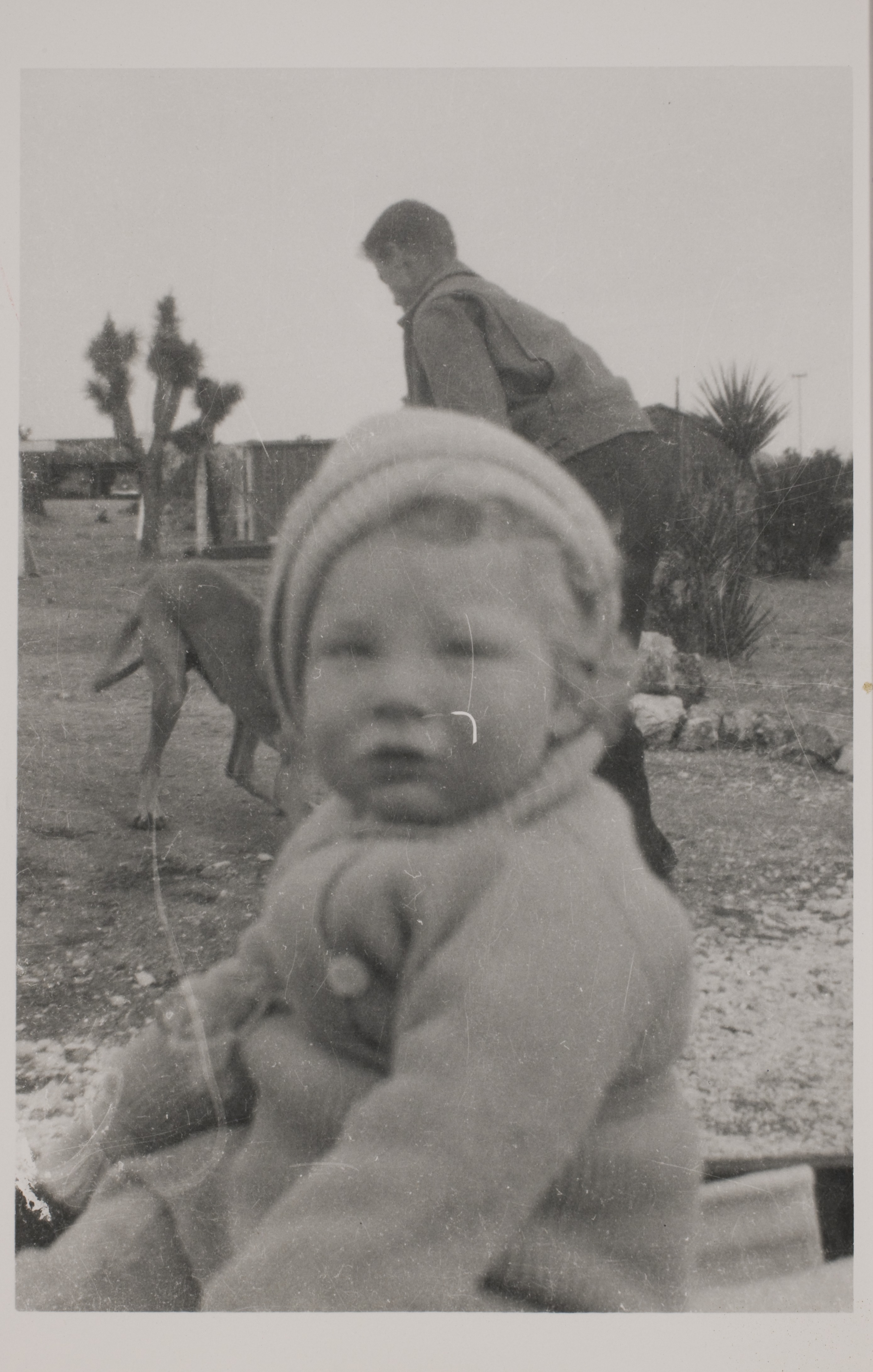 Rex Anthony Bell, Jr (Toni Larbow Beldam) in wagon with unidentified man and Sheik the Great Dane in the background at Walking Box Ranch, Nevada: photographic print