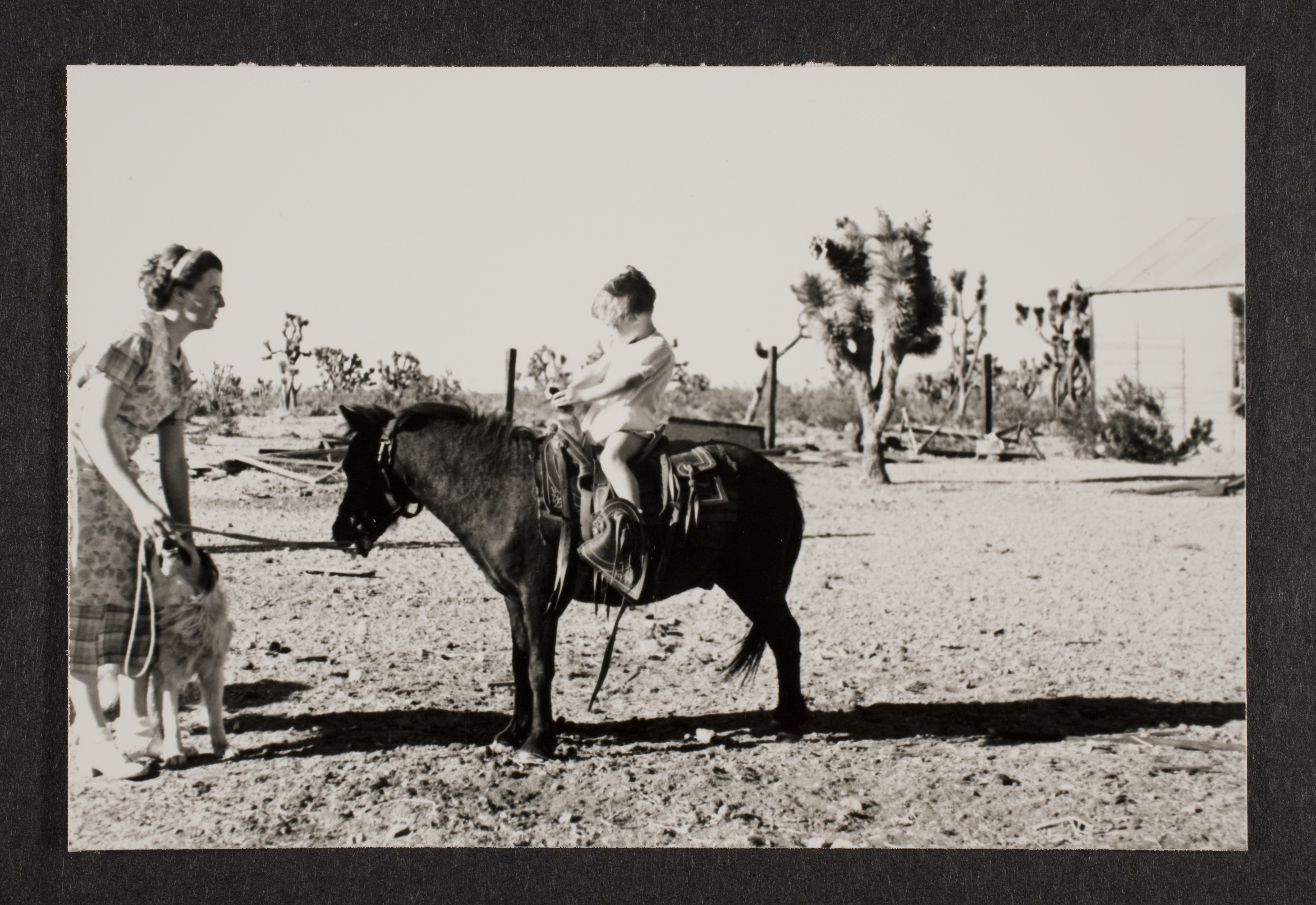 Unidentified woman with dog and  on Smokey the pony at Walking Box Ranch, Nevada: photographic print