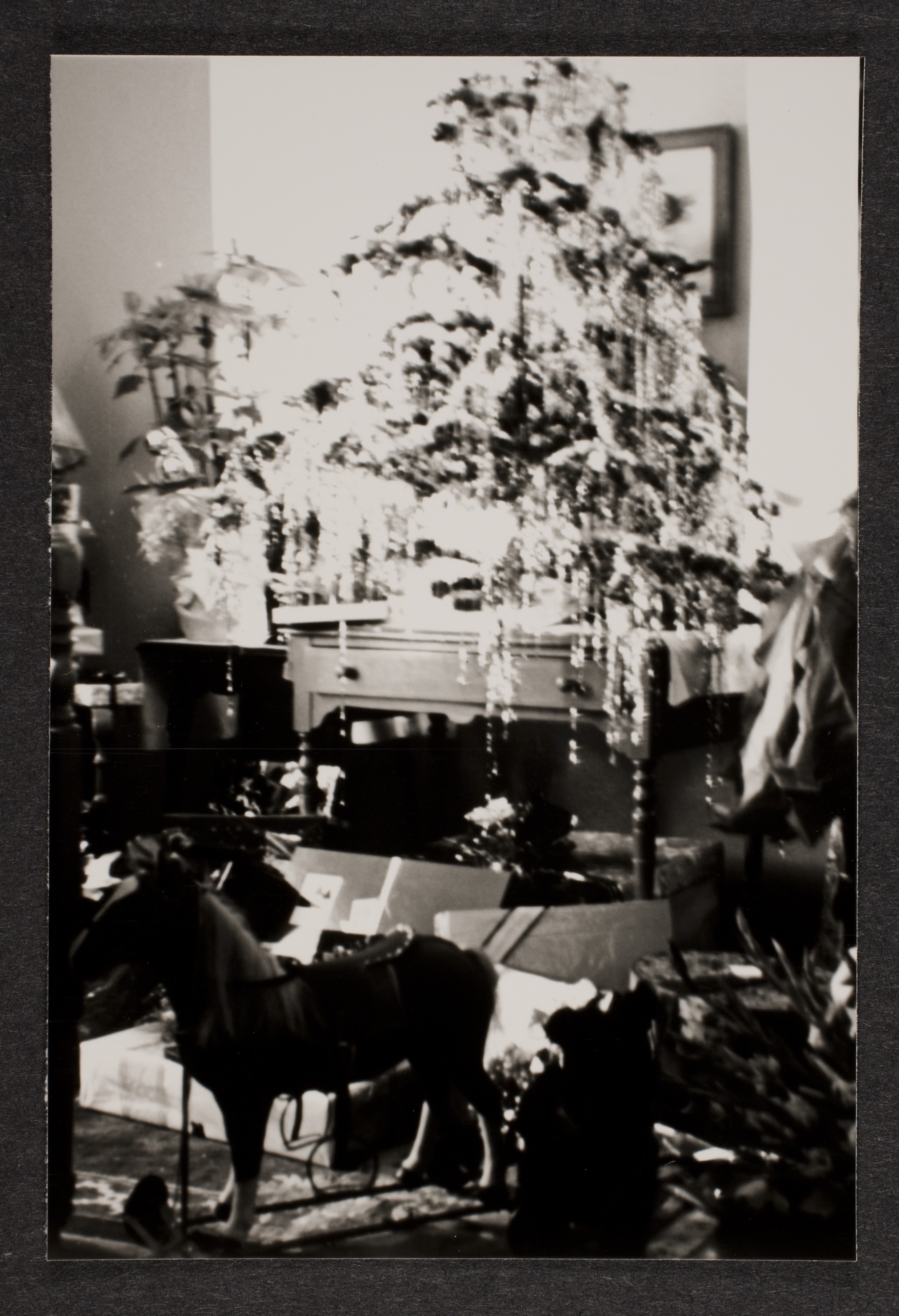 Christmas tree and presents.  Location unknown: photographic print