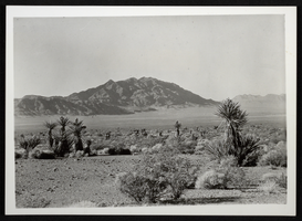 Photograph of Eldorado Valley, Nevada, circa 1930s-1960s