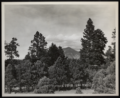 Photograph of Mt. Wilson, Nevada, circa 1930s-1950s