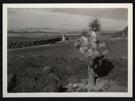 Photograph of the Dr. Elwood Mead dedication plaque at Lakeview Point, Lake Mead, circa 1935