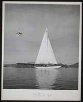 Photograph of a sailboat, Lake Mead, circa 1935-1950