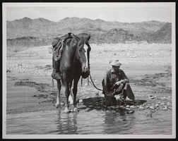 Photograph of a man and a horse near an unidentified body of water, circa 1930s-1950s