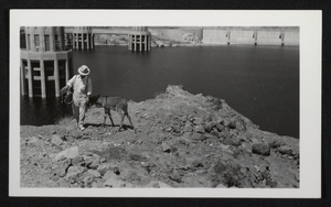 Photograph of a man and burro near Hoover Dam, circa late 1930s