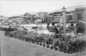 Film transparency of El Rancho Vegas pool area, Las Vegas, circa 1940s-1950s
