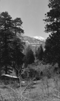Film transparency of Mount Charleston park, Nevada, circa 1931-1936
