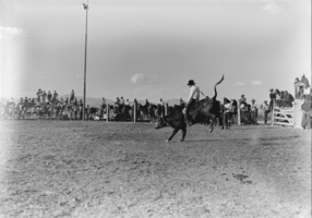 Film transparency of Glen Tyler at a rodeo, May 1939