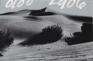 Film transparency showing mesquite bushes and dunes in Death Valley, California, circa 1920s to 1950s