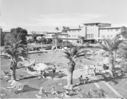 Film transparency of the Olympic Pool at Hotel Flamingo, circa 1940s