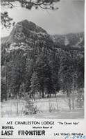 Postcard showing landscape of Mount Charleston, Nevada, circa 1930s-1950s