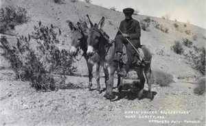 Photograph showing an unidentified man, Death Valley, circa 1920 to 1955