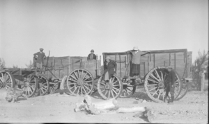 Film transparency of people posing on stage coaches in Death Valley, Nevada, circa 1910s to 1920s