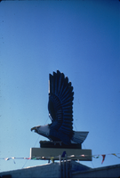 Slide of an eagle neon sign, Ely, Nevada, 1986