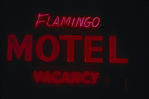 Slide of the neon sign for the Flamingo Motel, Reno, Nevada, 1986