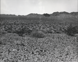 Photograph of the desert site that later became Boulder City, Nevada, March 13, 1931