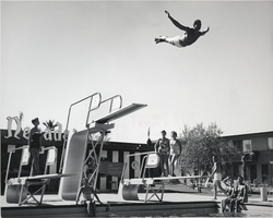 Photograph of a man swan diving into the pool at Wilbur Clark's Desert Inn, Las Vegas, circa 1950s