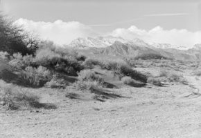 Film transparency of Mount Charleston, Nevada, circa 1930s-1940s
