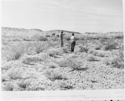 Film transparency of Old Mormon Canal near Overton, Nevada, February 20, 1948