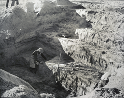 Photograph of an archeological excavation at Willow Beach, Arizona, circa 1950