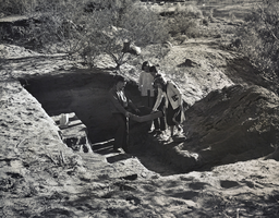 Photograph of H. O. Watts and others at Willow Beach excavation site, Arizona, 1950