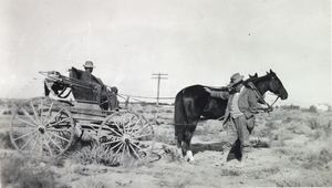 Photograph of Earl Eglington and horses, circa early-mid 1900s