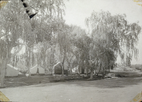 Photograph of tents on the Las Vegas Creek, Old Ranch, Nevada, circa 1905