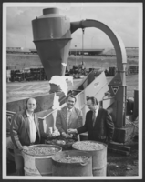 Photograph of three men with barrels of recyclable aluminum pieces, Las Vegas, Nevada, circa 1970s-1980s