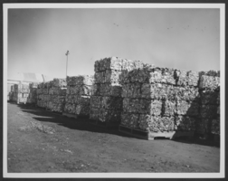 Photograph of pallets of recycled aluminium, Las Vegas, Nevada, circa 1970s-1980s