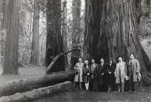 Photograph of a group in the Redwood Forest, California, December 11, 1927