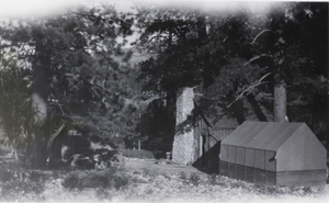 Photograph of a cabin in the woods, circa late 1920s to 1930s