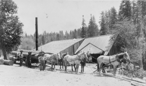 Transparency of Kyle Canyon Sawmill north, Las Vegas, circa early 1900s