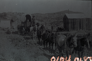 Transparency of mule freight team, circa 1890s-1910s