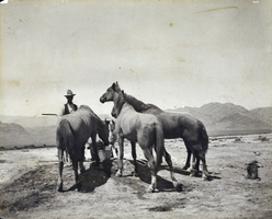 Photograph of Las Vegas Ranch, Las Vegas, circa 1900-1910