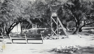 Photograph of ducks at the Las Vegas Ranch, circa early 1900s