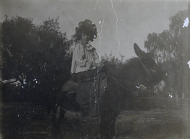 Photograph of Evaline Stewart, circa 1890s