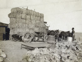 Photograph of wagon filled with hay, circa 1900-1910