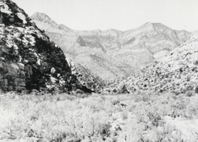 Photograph of Pine Canyon, Nevada, 1908
