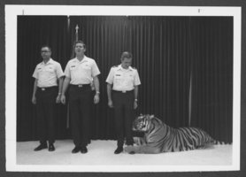 Photograph of United States Air Force pilots onstage with a tiger, Nellis Air Force Base, Nevada, March 18, 1979