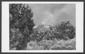 Photograph of a fire at Mount Charleston, Nevada, June 26, 1981