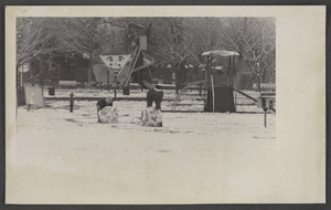 Photograph of children playing in the snow, North Las Vegas, May 27, 1905