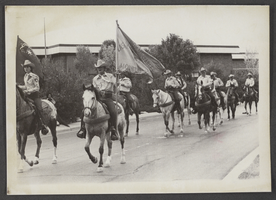 Photograph of horses and riders in a Veteran's Day Parade, North Las Vegas, Nevada, November 13, 1978