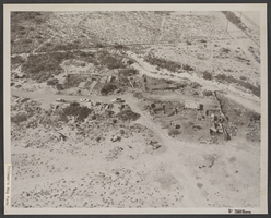 Photograph of Tillman's Hog Farm, North Las Vegas, June 5, 1973