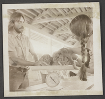 Photograph of zoo employees at Las Vegas Valley Zoo, Las Vegas Valley, 1975
