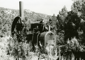 Photograph of a hand-built steam engine, 1973