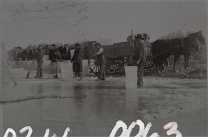 Photograph of the Edwards brothers harvesting ice in Nevada, 1906