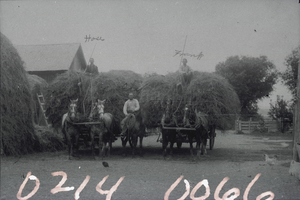 Photograph of the Edwards brothers with wagons loaded with hay, Panaca, Nevada, 1914