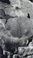 Photograph of petroglyphs in Meadow Valley Wash, Nevada, circa 1960s-1970s